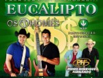 baixar sertanejo eucalipto os thomes