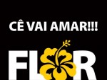 baixar sertanejo flor jorge e mateus