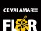 baixar sertanejo flor jorge e mateus