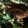 divinaexpo 2012 aerea