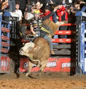 Americana 2012 – Silvano Alves tem atuação impecável e é o vencedor do Iron Cowboy. Competidor parou nos quatro touros ...
