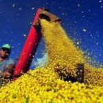 O secretário de Política Agrícola do Ministério da Agricultura, Caio Rocha, afirmou nesta quinta, dia 6, que o governo pretende ...