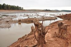 O fenômeno climático conhecido como El Niño “deve se desenvolver ao longo de setembro” e persistir pelo resto do ano, disseram nesta quinta, dia 6, meteorologistas do Centro de Previsão Climática da Administração Nacional Oceânica e Atmosférica (NOAA, na sigla ...