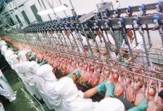 A produção de carne de frango no Brasil registrou queda nos primeiros sete meses de 2012. Segundo a Associação Brasileira ...