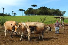 A Expolages, maior feira de animais de Santa Catarina, iniciou nessa última terça, dia 16, trazendo um diferencial em relação ...