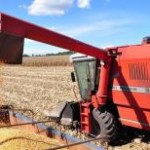 O adido de Brasília do Departamento de Agricultura dos Estados Unidos (USDA) estimou que o volume de milho produzido pelo ...