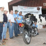 Animal da raça Girolando, a vaca Dengosa produziu 103,3 kg de leite em único dia durante competição no evento Representante ...