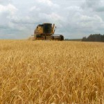 A menor produção mundial e a redução dos estoques pelo terceiro ano consecutivo têm deixado compradores de trigo apreensivos. No ...