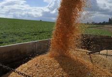 O saldo da balança comercial do agronegócio cresceu 3,1%, para US$ 67,3 bilhões, no acumulado de janeiro a outubro de ...