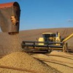 As exportações brasileiras de soja em janeiro somaram apenas 284 mil toneladas, volume praticamente residual em relação às 1,011 milhão ...