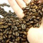 Os preços do café arábica, pagos ao produtor em outubro, atingiram o menor valor dos últimos 11 anos. A expectativa ...