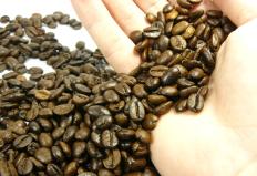 Os preços do café arábica do tipo 7 bebida rio têm se mantido em patamares firmes nesta semana. Segundo agentes ...
