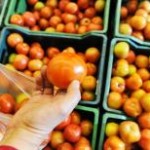 Os preços de diversos produtos alimentícios, entre eles o tomate, devem reduzir ainda no primeiro semestre deste ano, de acordo ...