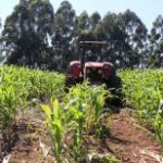   O Senado aprovou nesta última terça, dia 30, projeto de lei que isenta máquinas e equipamentos agrícolas, veículos utilitários, ...