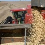 Até a quarta semana de maio o Brasil exportou 6,80 milhões de toneladas de soja grão, segundo dados do Ministério ...