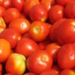 Uma recente pesquisa sobre tomate ecológico está ganhando evidência no mercado. O estudo está sendo realizado pela Empresa Brasileira de ...