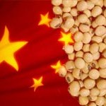 A China recebeu 7,2 milhões de toneladas de soja em julho, 22,7 por cento a mais do que as 5,87 ...