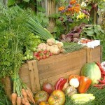 A 9ª Semana dos Alimentos Orgânicos será realizada a partir de 25 de maio deste ano. A previsão é que ...