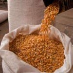 Com valores variando entre R$ 23,00 e R$24,00/sc de 60kg, o milho chega ao menor preço registrado nos últimos três ...