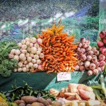 Os produtores de alimentos orgânicos do Distrito Federal reclamam da falta de incentivo do governo e da alta carga tributária. ...