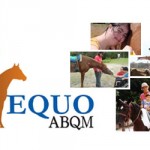O Projeto Equo ABQM, que tem possibilitado o acesso gratuito à equoterapia desde o primeiro semestre de 2013 no Estado ...