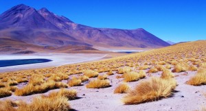 deserto-de-atacama