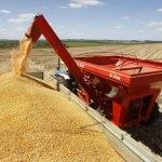 A Safra de grãos 2015_2016 deve ser de 189,3 milhões de toneladas. Do total, a soja representa 95,6 milhões t, e ...