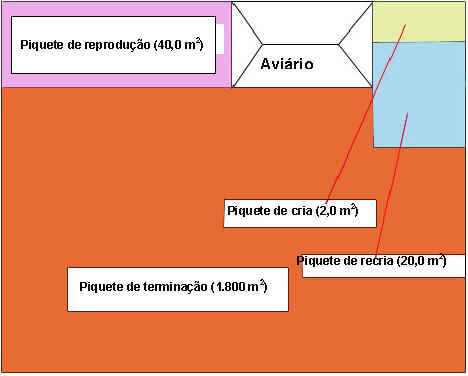 Como construir um galinheiro