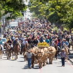 Fé e Devoção: Desfile de Cavaleiros reúne milhares de participantes na manhã de domingo em Sumaré
