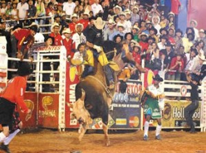 Famoso após participar da novela “América”, o touro Bandido morreu no início do ano passado e deixou de herança material ...