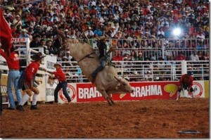 Mário Luís Benato é um dos destaques da disputa que começa nesta quinta-feira A cidade de Limeira recebe a partir da próxima quinta-feira (6) mais uma etapa da Copa Brahma Barretos, importante campeonato da Montaria em Touros do país. A ...