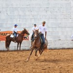 Exposição do Mangalarga na Expoagro Guaxupé é uma das maiores de todo o país Desde sexta-feira, 06, o Parque de ...