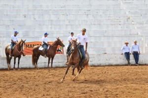 Exposição do Mangalarga na Expoagro Guaxupé é uma das maiores de todo o país Desde sexta-feira, 06, o Parque de Exposições da Expoagro Guaxupé recebe criadores e proprietários de animais da raça Mangalaga para a tradicional Exposição promovida pelo Núcleo ...