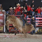 Robson Guedes conquista etapa de Jaguariúna do Brahma Super Bull PBR Competidor de Descalvado faz 90,50 pontos na final e ...