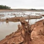 O fenômeno climático conhecido como El Niño “deve se desenvolver ao longo de setembro” e persistir pelo resto do ano, ...