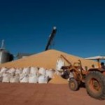 O fluxo no transporte de milho dos estoques da Companhia Nacional de Abastecimento (Conab) – localizados em Mato Grosso e ...