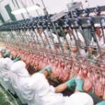 A produção de carne de frango no Brasil registrou queda nos primeiros sete meses de 2012. Segundo a Associação Brasileira ...