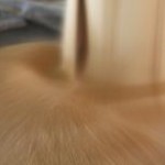O Levantamento Sistemático da Produção Agrícola (LSPA) de setembro projeta uma safra de grãos que deve chegar a 163,7 milhões ...