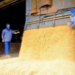 A Autoridade Europeia de Segurança Alimentar (EFSA, na sigla em inglês) informou na última terça, dia 30, que sua análise ...