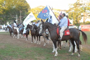 A 34ª Exposição Nacional do Cavalo Mangalarga, que teve início no último final de semana, continua com sua programação de julgamentos e realização de negócios. A abertura contou com o tradicional desfile das bandeiras, como principal destaque da cerimônia. A ...