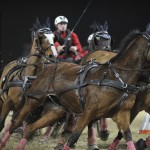 Em março de 2013 as atenções do mundo do cavalo voltam-se para Essen, na Alemanha, onde acontece a maior feira ...