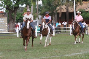 Após dois dias de julgamento da raça Mangalarga na Expo Rio Preto, os grandes campeões da categoria já têm nome. Na categoria de campeão em andamento, a principal do evento, o macho Protegido, do Haras Otnacer e a fêmea Universidade ...