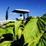 A agroindústria brasileira registrou uma queda de 1,6% em 2012, o segundo ano consecutivo de perdas. Em 2011, a agroindústria ...