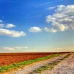 A China planeja assegurar mais de 274,8 milhões de acres (111,2 milhões de hectares) de terra para a produção de ...