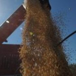 A balança comercial brasileira vem registrando resultados fracos em razão dos efeitos da crise internacional sobre as exportações, segundo o ...