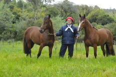 Terminou neste domingo, em Gramado, na serra do Rio Grande do Sul, o terceiro Simpósio da Associação Brasileira de Médicos Veterinários de Equídeos (Abraveq Sul). Ao longo de três dias, especialistas brasileiros, norte-americanos e argentinos palestraram para cerca de 400 ...