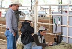 As provas do Congresso Brasileiro da Raça Quarto de Milha, que acontecem em Avaré, interior de São Paulo, entre os dias 16 e 22 de abril, são inspiradas na vida do campo. Algumas modalidades reproduzem o dia a dia nas ...