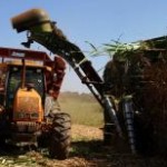 Agronegócio nacional no primeiro trimestre A balança comercial brasileira registrou déficit de US$ 5,15 bilhões no primeiro trimestre de 2013, ...