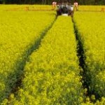 Apenas 660 comerciantes de agrotóxicos dos 1057 existentes em Minas Gerais enviaram, dentro do prazo, ao Instituto Mineiro de Agropecuária ...