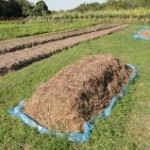 A Embrapa Agrobiologia desenvolveu uma tecnologia para produção de adubos e substratos orgânicos de origem 100% vegetal, utilizando materiais como ...